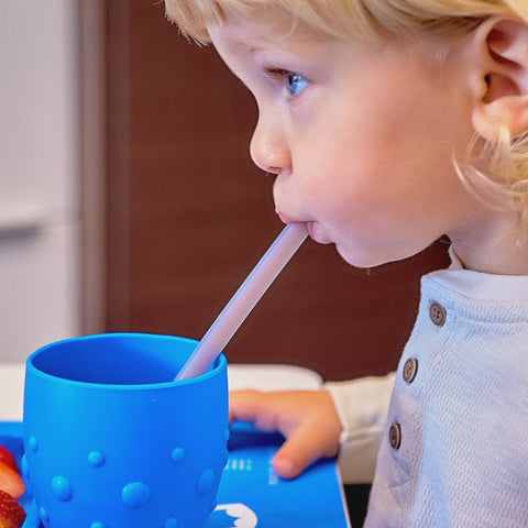 Silicone Straws & Brush Set