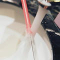 Silicone Straws & Brush Set