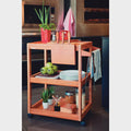Churrasco Serving Trolley in Jatoba Wood