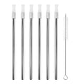 Stainless Steel Cocktail Straws with Cleaning Brush - Set of 6