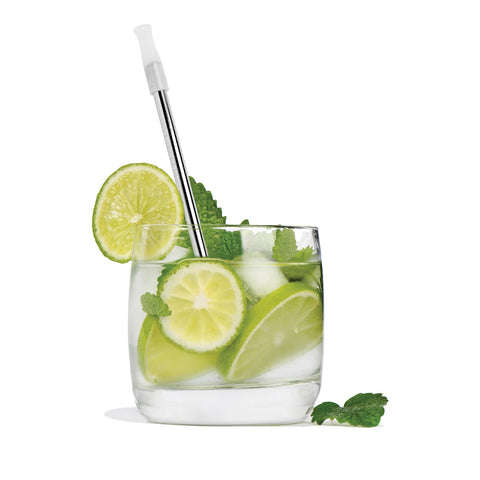 Cocktail Straws with Cleaning Brush - Set of 4