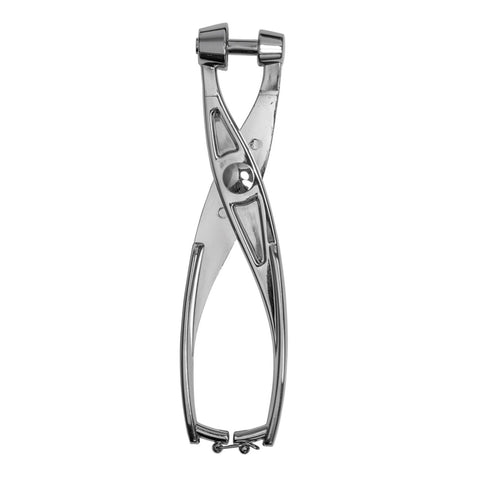 Alloy Cherry And Olive Pitter