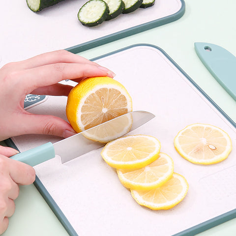 Loveharbor Fruit Knife