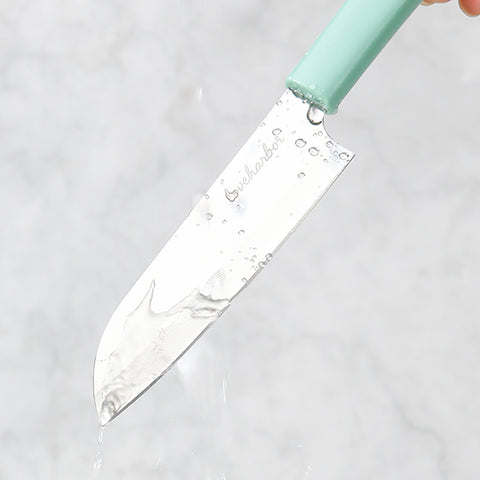 Loveharbor Fruit Knife