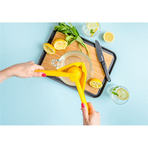 Fluicer - Lemon 10"