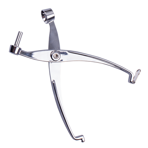 Cherry & Olive Pitter