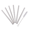 Stainless Steel Cocktail Straws Set 6 With Brush