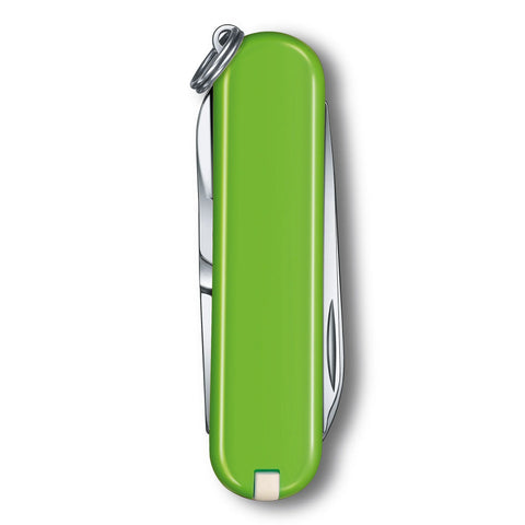 Classic Sd - Smashed Avocado