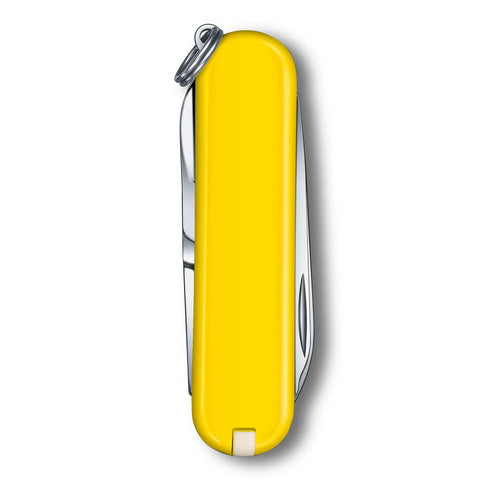 Classic Sd - Sunny Side