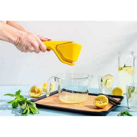 Fluicer - Lemon 10"