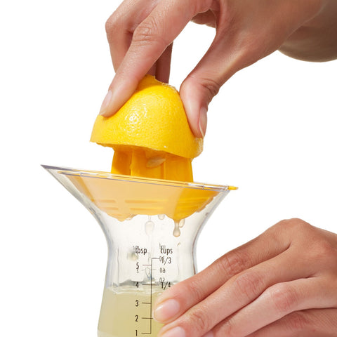Small Citrus Juicer