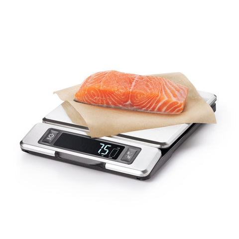 Food Scale With Pull-Out Display