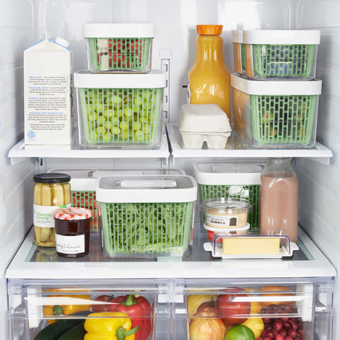 Greensaver Produce Keeper - 4L