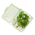 Greensaver Herb Keeper - Small
