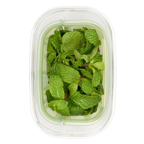 Greensaver Herb Keeper - Small