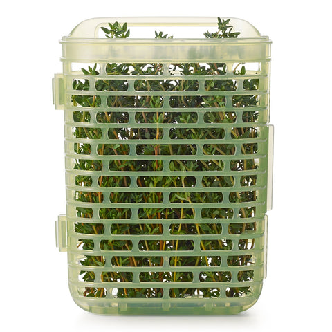 Greensaver Herb Keeper - Small
