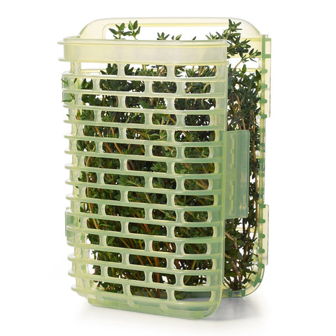 Greensaver Herb Keeper - Small