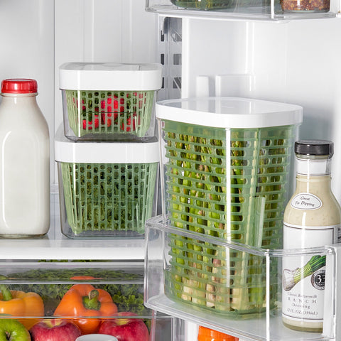 Greensaver Herb Keeper - Small