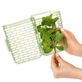 Greensaver Herb Keeper - Small
