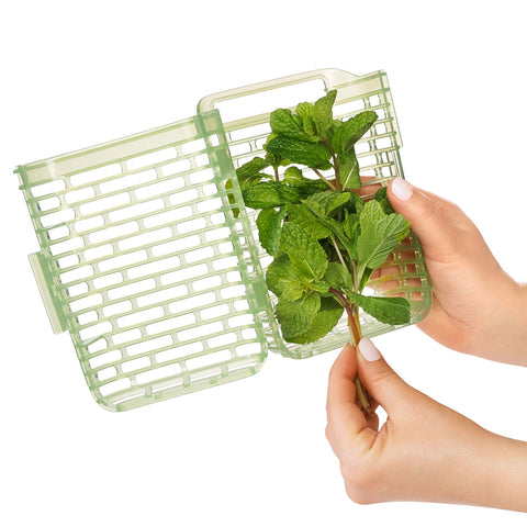 Greensaver Herb Keeper - Small
