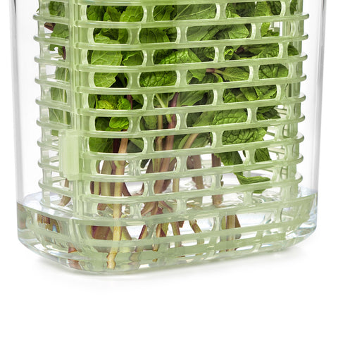 Greensaver Herb Keeper - Small