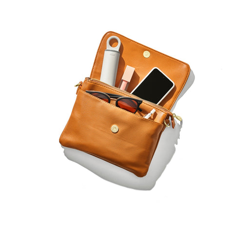 FurLifter On-the-Go Brush