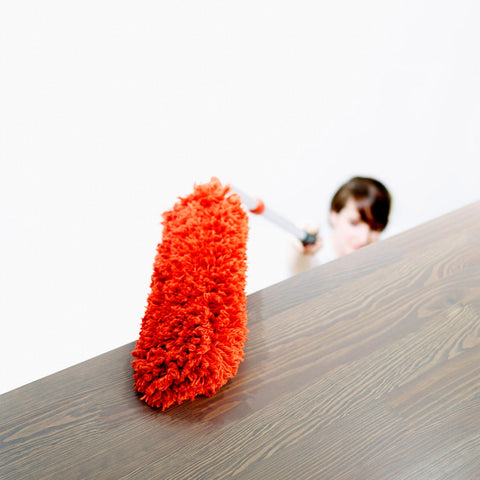 Microfiber Extendable Duster