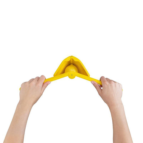Fluicer - Lemon 10"