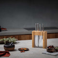 Ikasu V (Teikoku) 5 Piece Knife Block Set