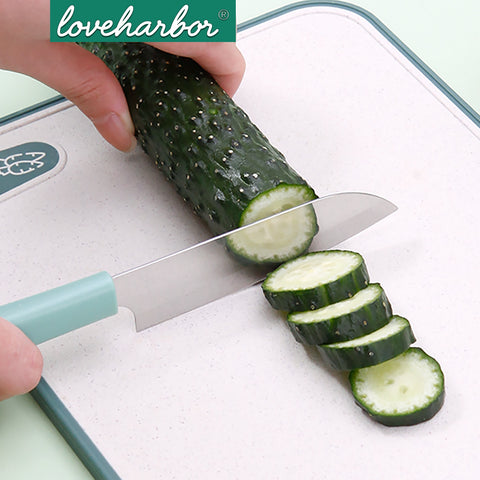 Loveharbor Fruit Knife