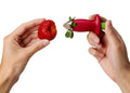 Stem Gem Strawberry Huller