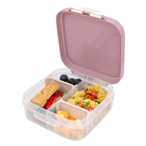 Mini Lunch Box