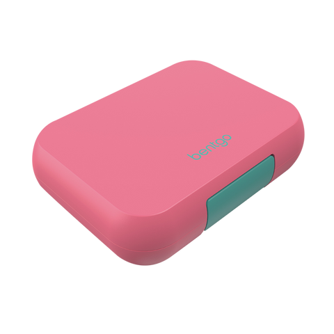 Pop Lunch Box ( Bright Coral-Teal)