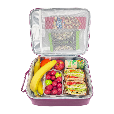 'Style 228' Insulated Junior XL Lunch Bag