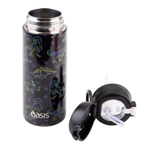 Stainless Steel Double Wall Insulated Kid's Drink Bottle with Sipper Straw 550ml