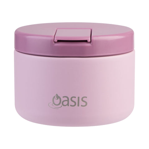 Stainless Steel Double Wall Insulated Food Flask with Quick Release Lid 300ml