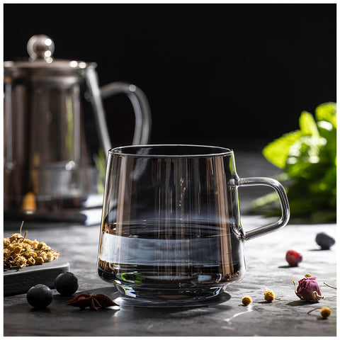 Oaklyn Charcoal Glass 2pk Mug