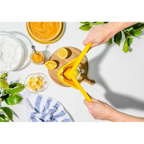 Fluicer - Lemon 10"