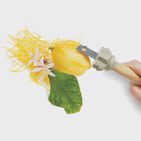 Eat Smart 2 in1 Juicer & Zester