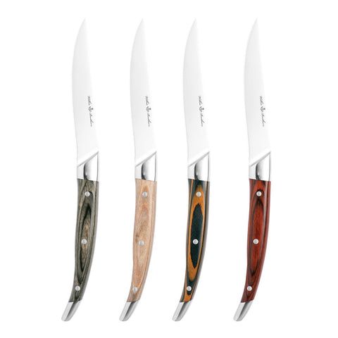 4 Piece Steak Knife Set Pakka