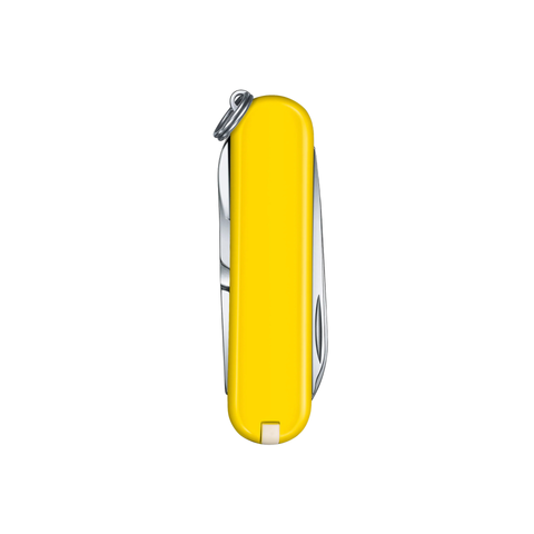 Classic Sd - Sunny Side