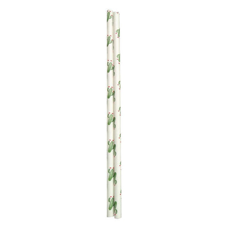 Paper Straws Pack 50 - Cactus