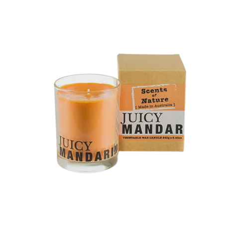 Soy Candle 240G