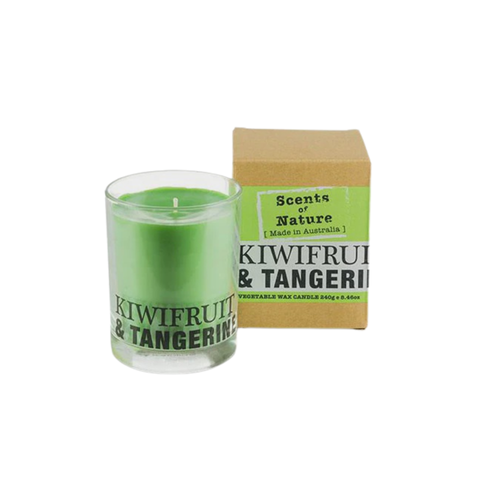 Soy Candle 240G