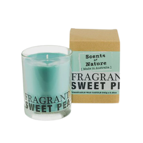 Soy Candle 240G