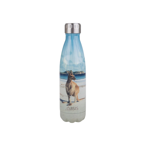 Stainless Steel Double Wall Insulated Drink Bottle 500ml - 12 Colors