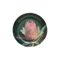 Native Grace Banksia Trinket Dish