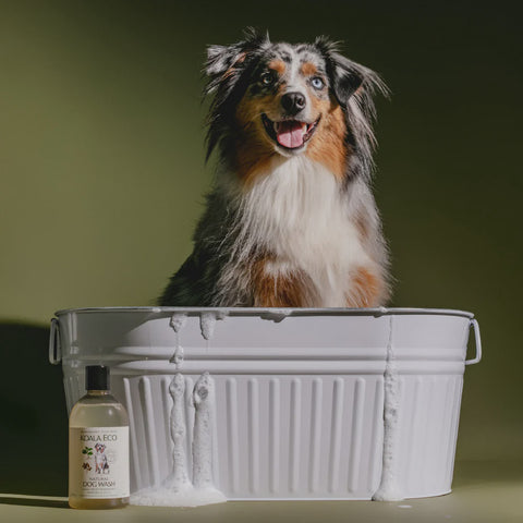 Natural Dog Wash 500ml