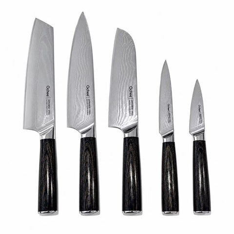 Mori Japanese Damascus 67-Layer Chef Knife 8 Inch