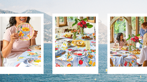 Spring / Summer 2025-2026